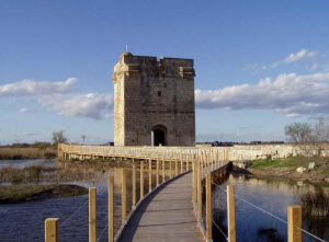 aigues mortes appartement a louer vue de la tour Carbonnière